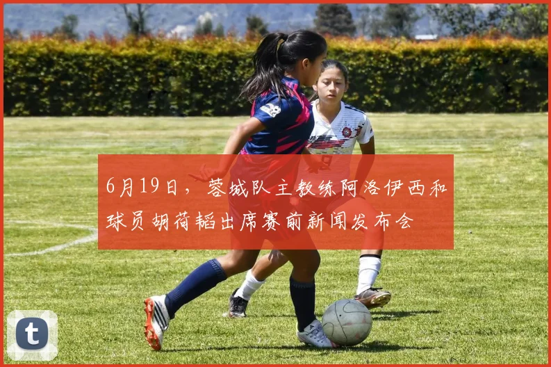 6月19日，蓉城队主教练阿洛伊西和球员胡荷韬出席赛前新闻发布会
