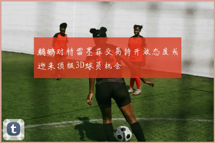 鹈鹕对特雷墨菲交易持开放态度或迎来顶级3D球员机会